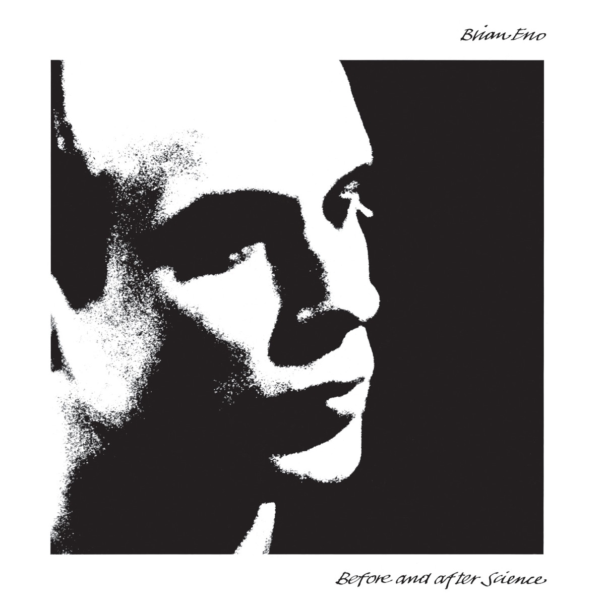 Original cover of Brian Eno's Before and After Science: a restrained cream field with delicate branches and red-orange blossoms.